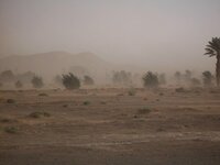 sandstorm.JPG