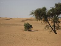 IMG_0419.jpg