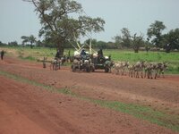 IMG_0556.jpg