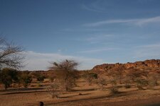 IMG_2185.jpg