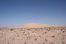 IMG_2544.jpg