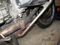 IMG_3580 copy.jpg