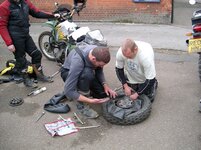 P3.JPG