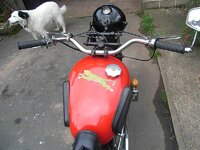 RIMG0603.jpg