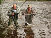 fish1.jpg