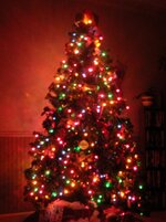 Christmas_Tree_006[1].jpg