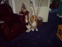 phone pics 015 (Medium).jpg