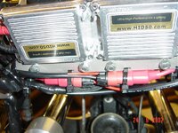 DSC02944.jpg