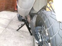 back view.jpg