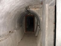 4b (Small).jpg