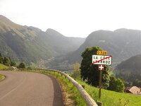 317.jpg