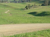scenery riders near ellerston copy.jpg