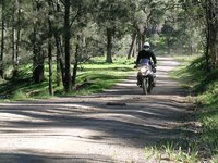 rob timor rd sunday copy.jpg