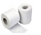 toiletrolls.jpg