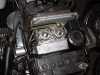 IMG_2787.jpg