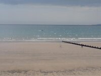 DSC00213.jpg