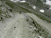 4a.jpg (Small).jpg