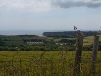 DSC00216.jpg