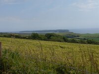 DSC00218.jpg