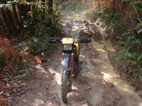 DSCF0016.JPG
