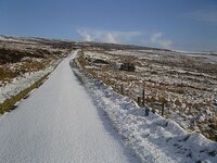 snow1.jpg