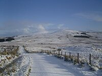 snow 2.jpg