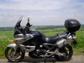 303958590_XLRYS-M.jpg