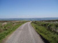 Open Road.jpg