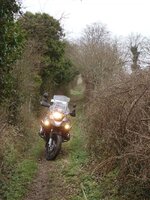 DSC00890small.jpg