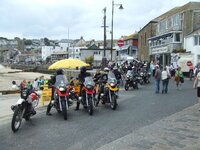 2008_0615recelizard0017.JPG