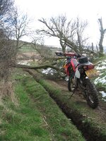 IMG_1117.JPG