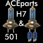 xeon bulbs.jpg