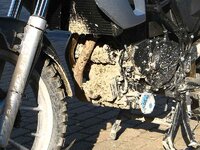 IMG_1785e.jpg