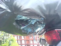 Pipsters burnt bag.jpg