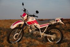 Resize of serow1.jpg