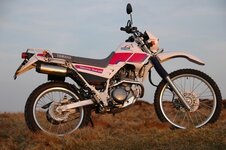 Resize of serow3.jpg