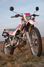 Resize of serow4.jpg