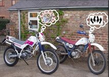 Resize of serow6.jpg