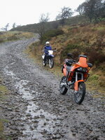 IMGP1141.jpg