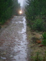 IMGP1155.jpg