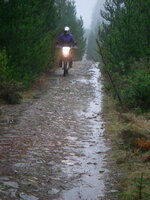IMGP1156.jpg