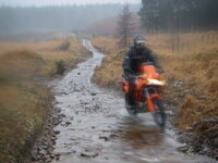 IMGP1163.jpg