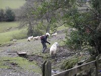 IMGP3665 (Small).JPG