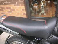 seat plus audience.jpg