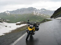 at top of stevio.jpg