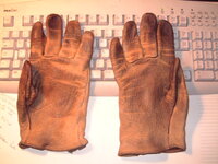 gloves.jpg