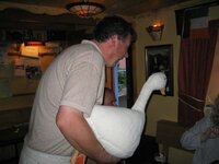 goose.jpg