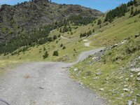 IMGP0260.jpg