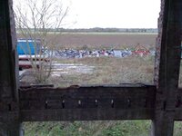 11-11-11-07 018 (Small).jpg