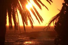 sunset.jpg